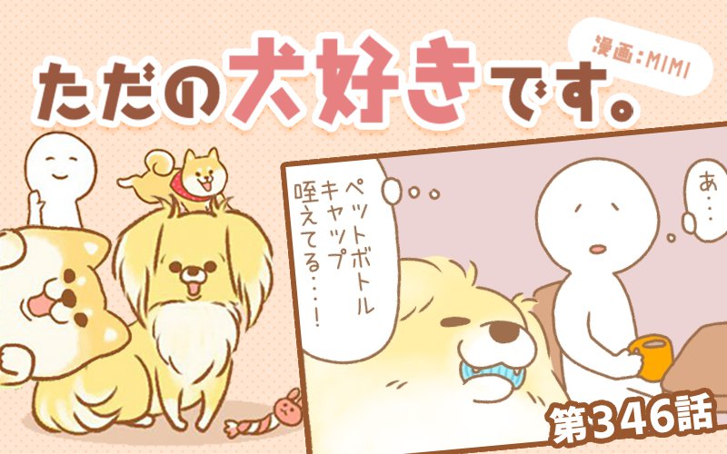 ただの犬好きです。【第346話】「わくわく」