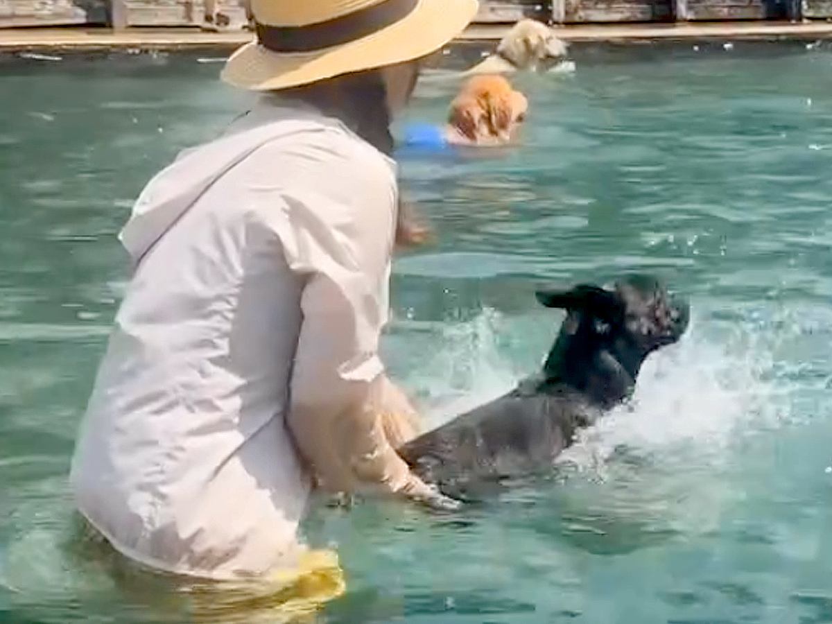 暑い日、犬をプールに連れて行った結果…思わず笑ってしまう『芸人並みのリアクション』が43万再生「表情がなんともｗｗ」「ルンルン最高」