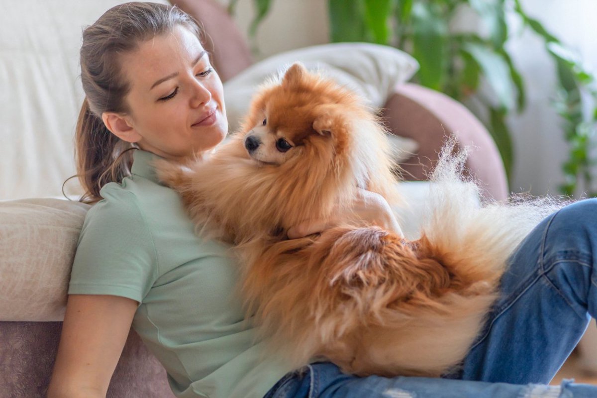 『甘えんぼう』と言われている犬種5選　甘え上手な理由や正しい接し方まで