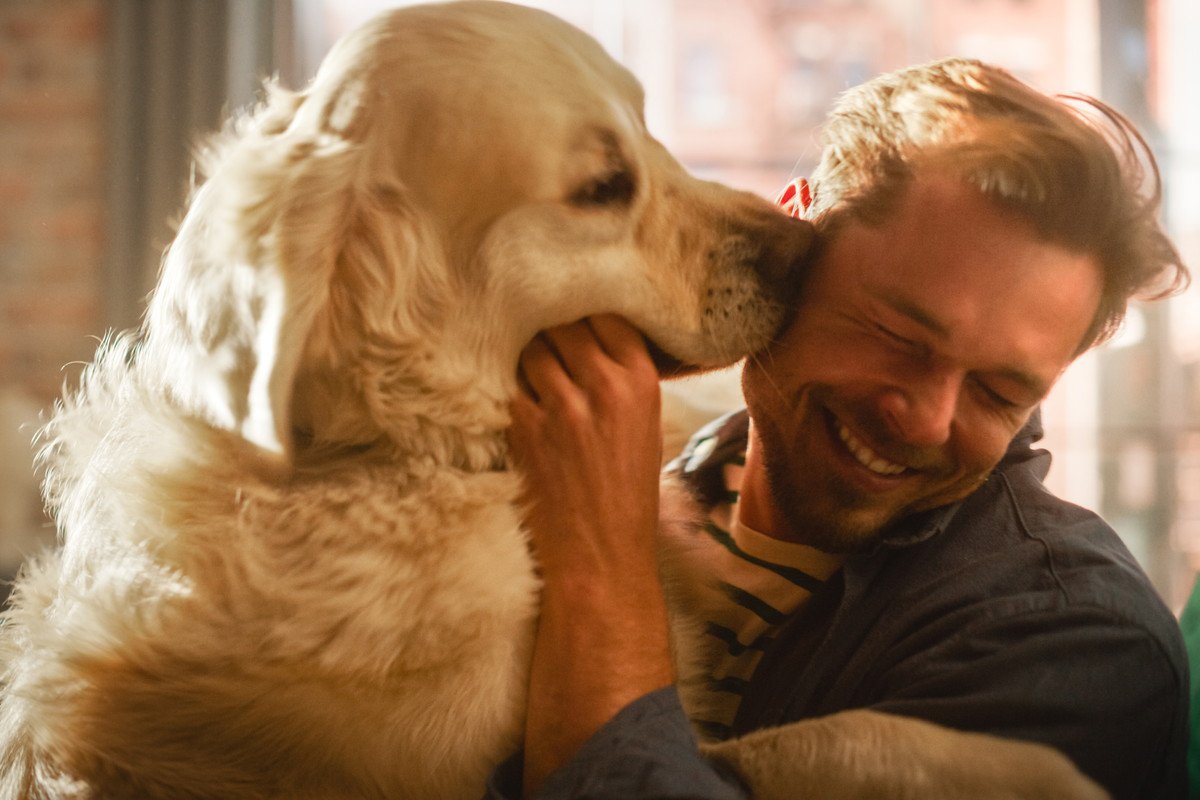 犬が飼い主に体当たりする心理5選　ぶつかってくる理由とやめさせる方法まで解説