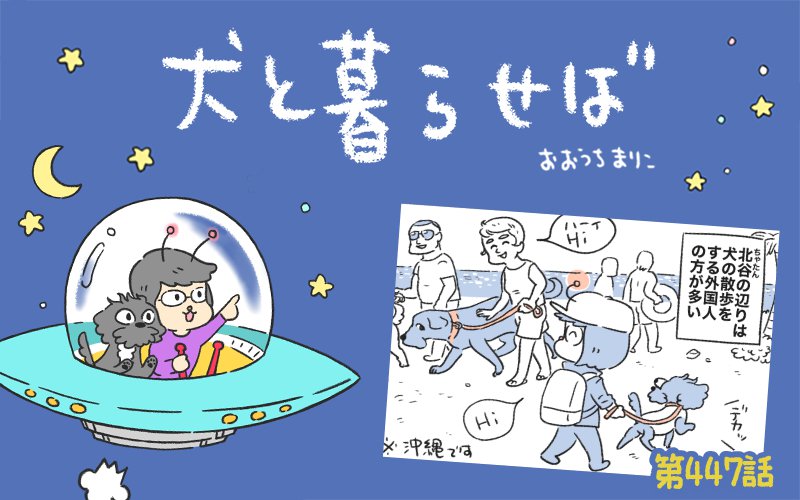 犬と暮らせば【第447話】「コトバはいらない」