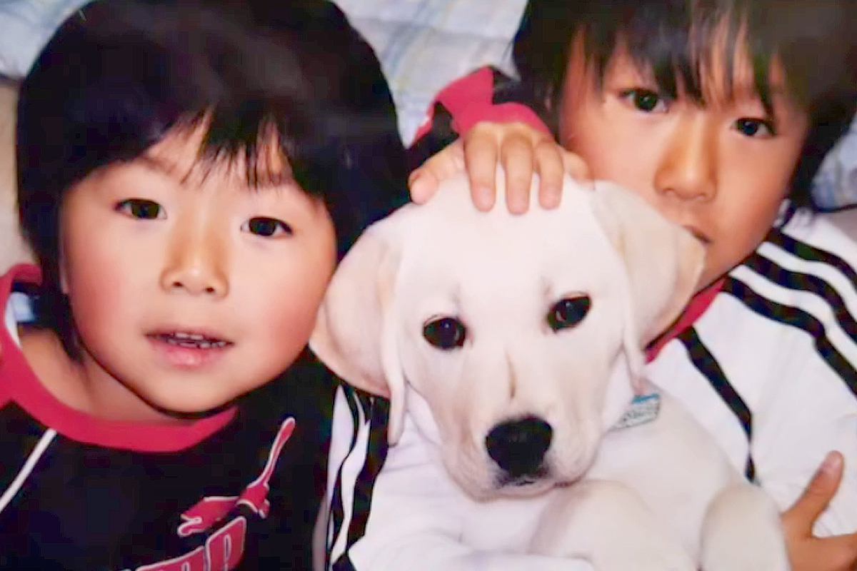 小さい頃から男の子たちと育った大型犬→闘病の末、お別れが訪れ…忘れられない『17年間の記憶』が25万再生「大切な宝物」「涙がとまらない」