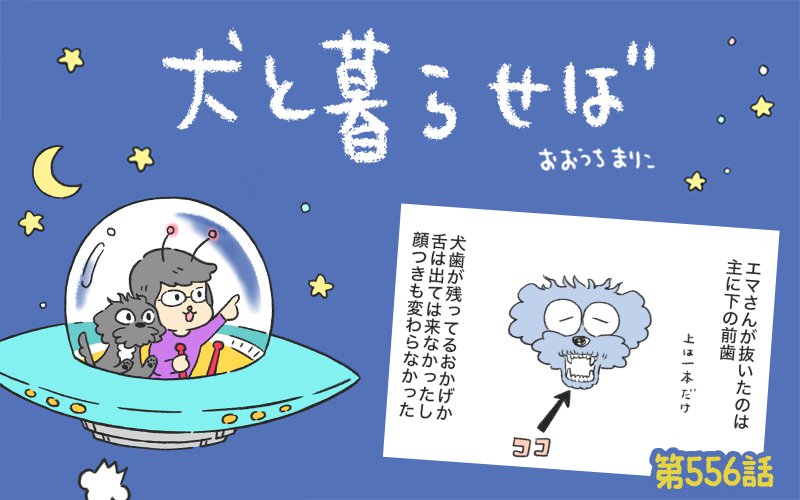 犬と暮らせば【第556話】「エマの笑顔」