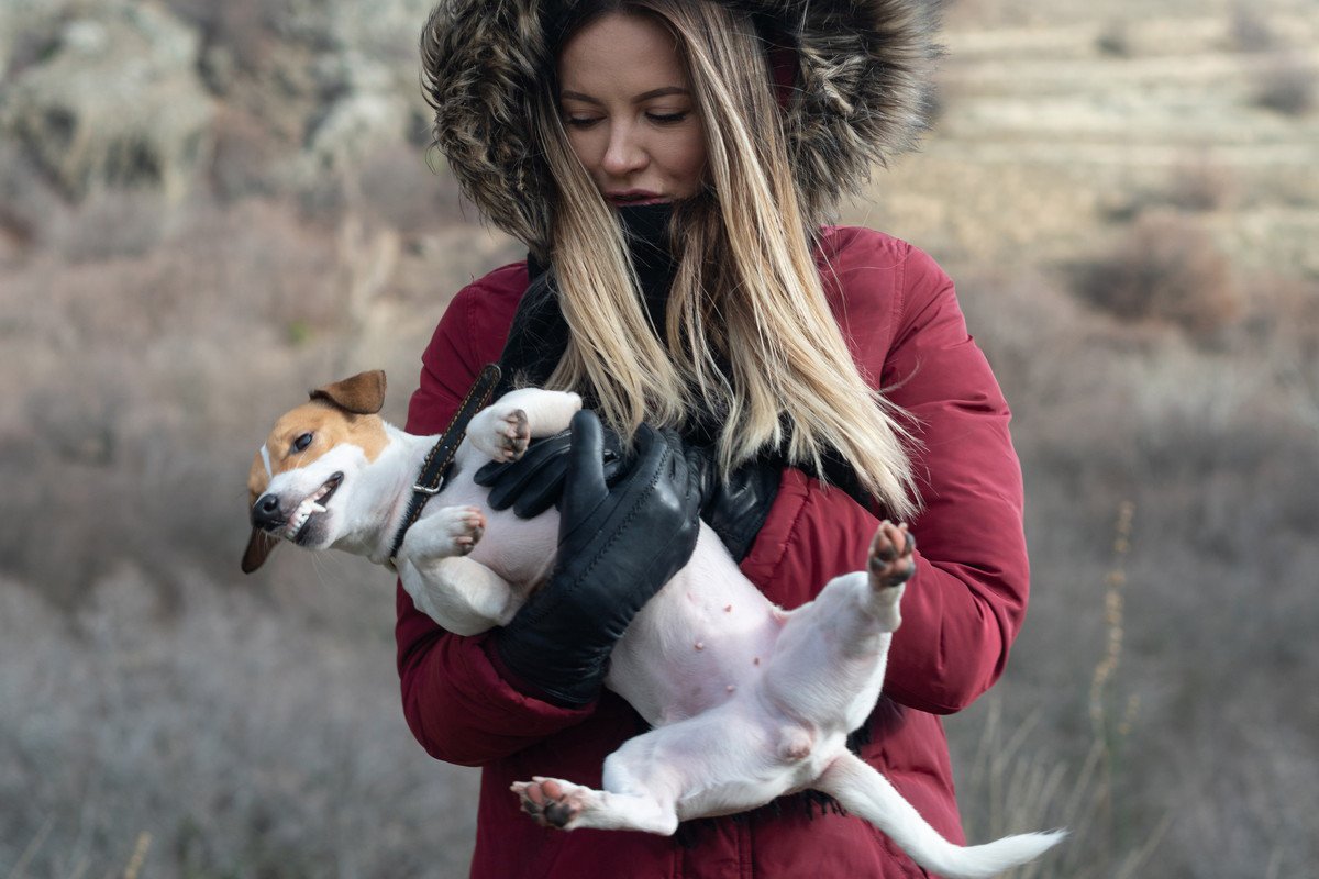 犬を抱っこ中に落としてしまった時にまず確認すべきこと3つ