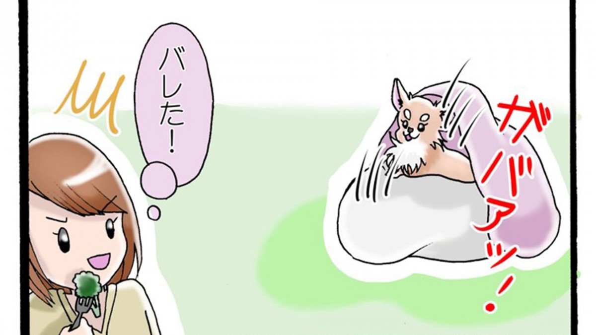 かわうそちわわ。（90） お野菜大好き