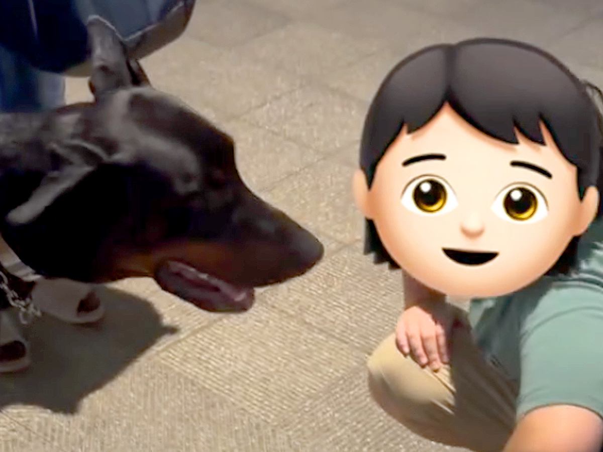 大型犬３匹の散歩中『犬が好きな男の子』に会った結果→２か月後、お母さんから連絡が来て…心温まる『素敵な物語』に「本当の犬好き！」と反響