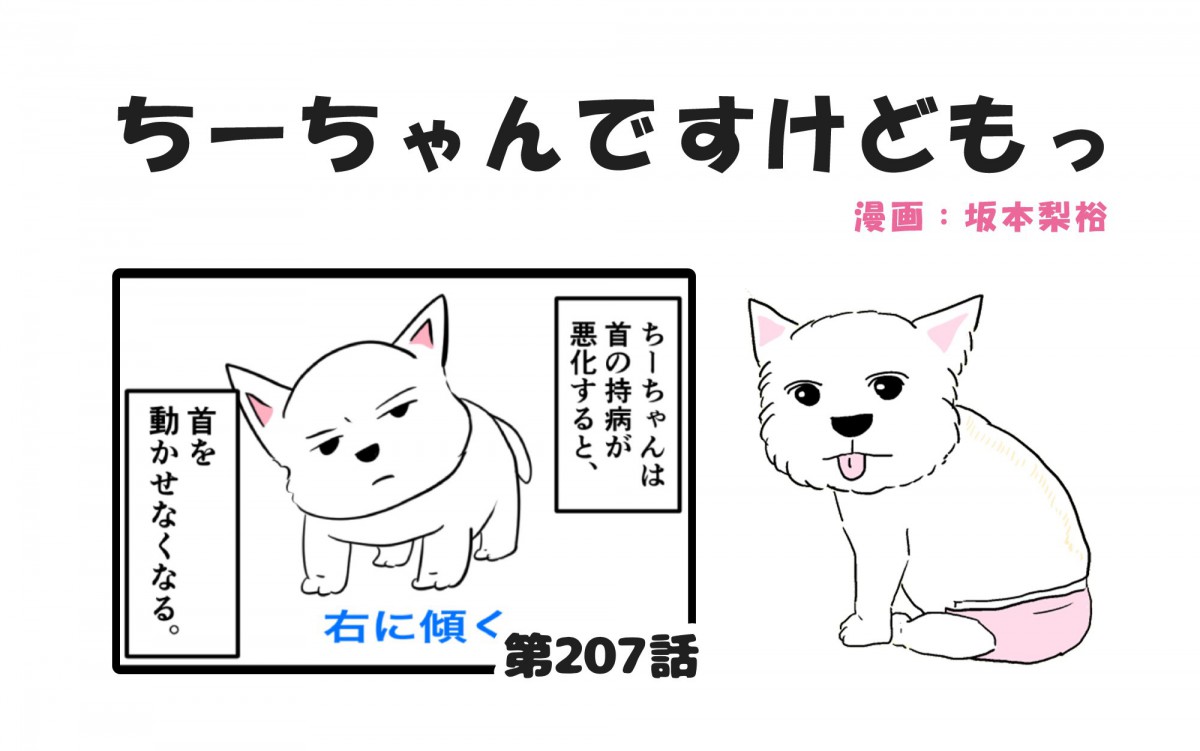 ちーちゃんですけどもっ【第207話】「犬を大人しくさせるのは難しい」