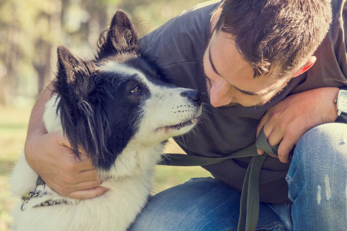 愛犬を安心させる方法5選！落ち着かない時や不安な時に試してみて