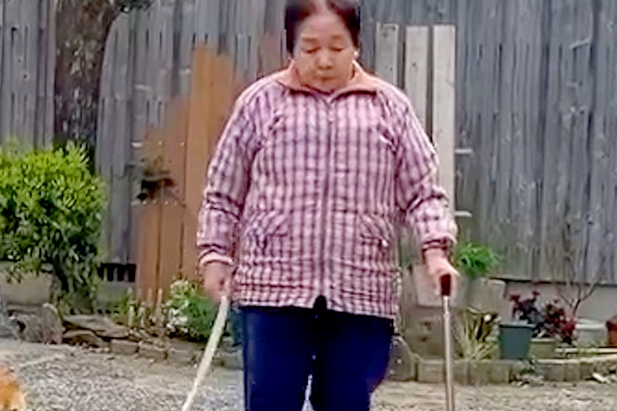 杖をつくおばあちゃんが『犬のリードを持った』結果→『引っ張らないかな』と見ていたら…感動的な光景が35万再生「泣いた」「お利口で優しい」
