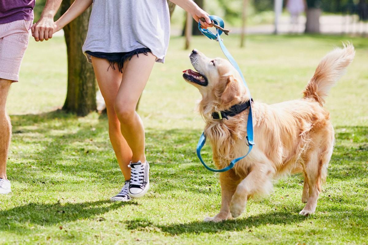 愛犬が大喜びする『散歩方法』5選！いつもの散歩にちょっと工夫をしてみませんか？