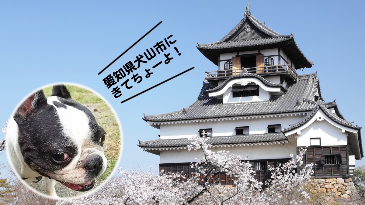 犬連れ観光におすすめ！ 愛知県犬山市へきてちょーよ！！