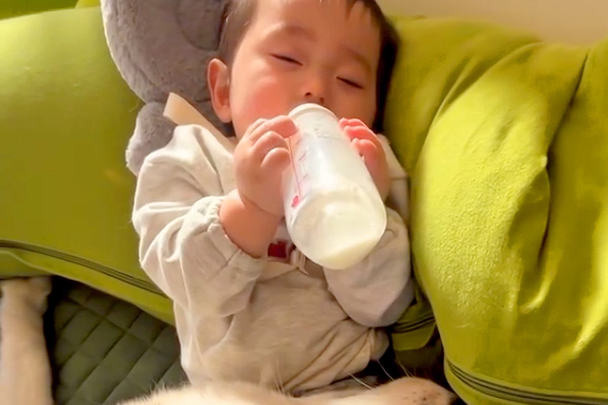 人間の赤ちゃんに『母性』が芽生えたハスキー犬→あまりにも好きすぎて、距離感がバグり…尊すぎる『護衛』が118万再生「優しい」「最高の兄」