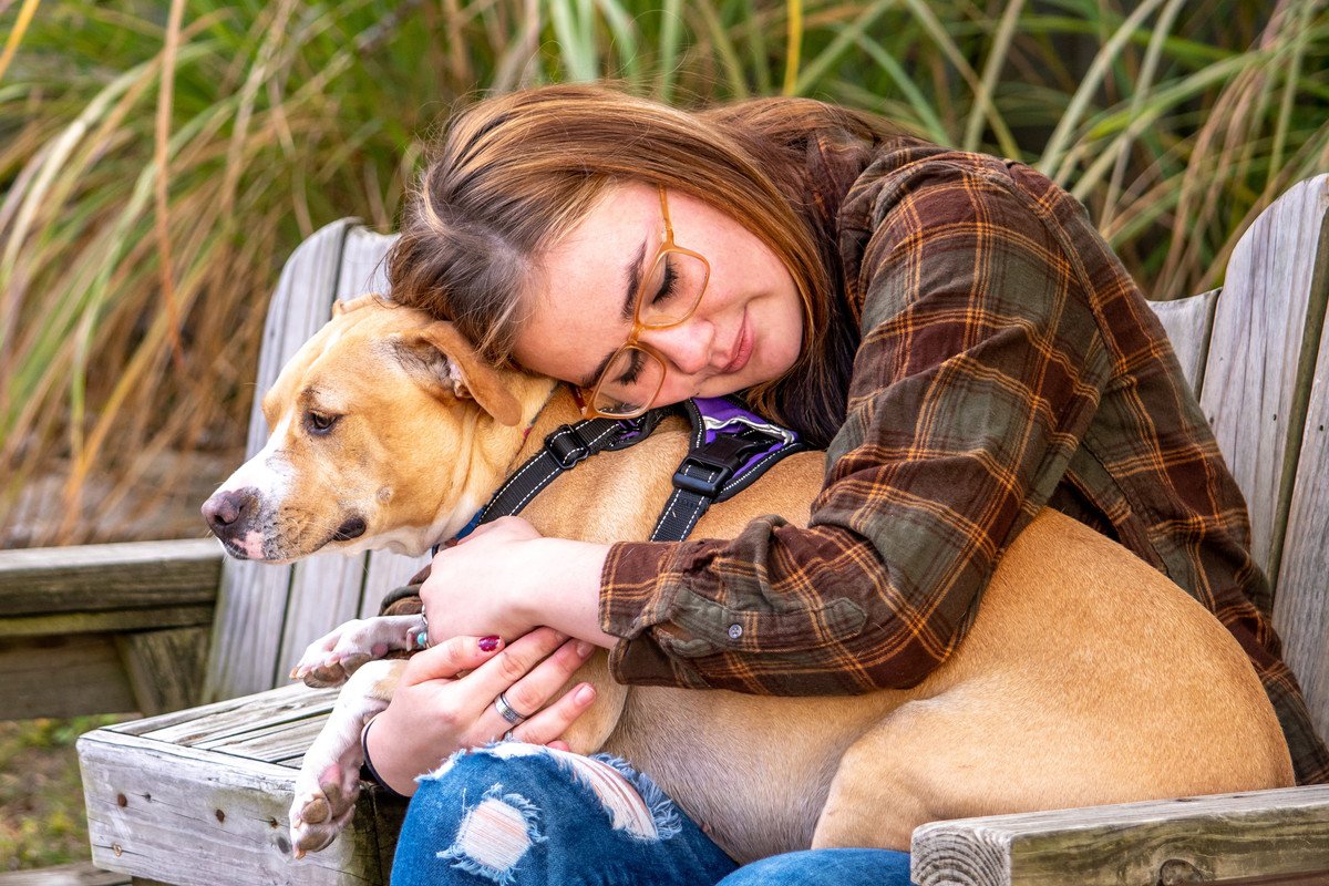 犬が本当は嫌がっている『スキンシップ』４選　続けていると愛犬に嫌われてしまう可能性も