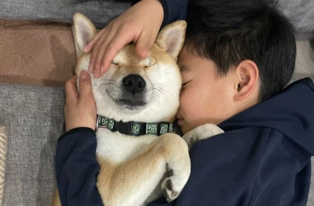 犬とお兄ちゃんの『ハグ寝落ち』が尊すぎる…抱き合って眠る姿に2万2000いいね「ついニヤけた」「良い関係なの伝わる」と称賛の声