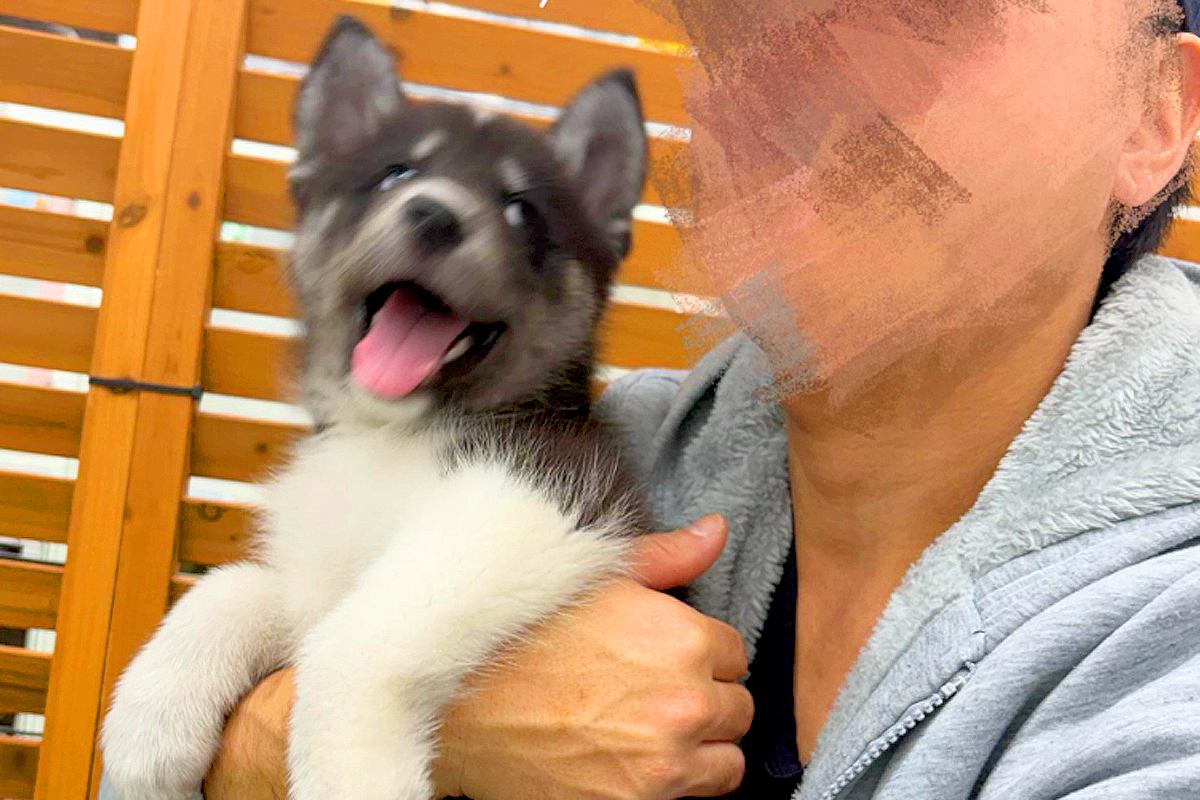 小さくて尊い赤ちゃん犬と写真撮影→4ヶ月後、同じように撮ってみたら…『本当にまだ子犬？』信じられないほどの『巨大化』に思わず驚き