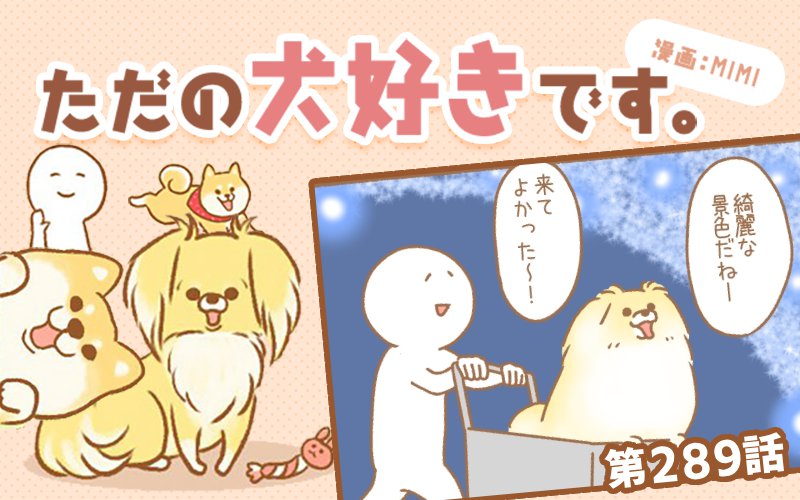 ただの犬好きです。【第289話】「思い出」