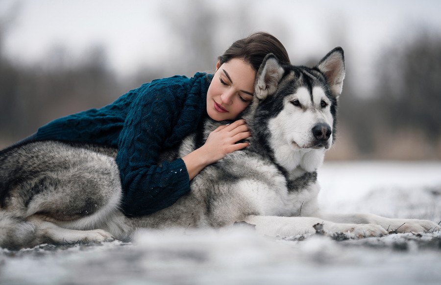 愛情表現が下手くそな犬がしている5つの態度