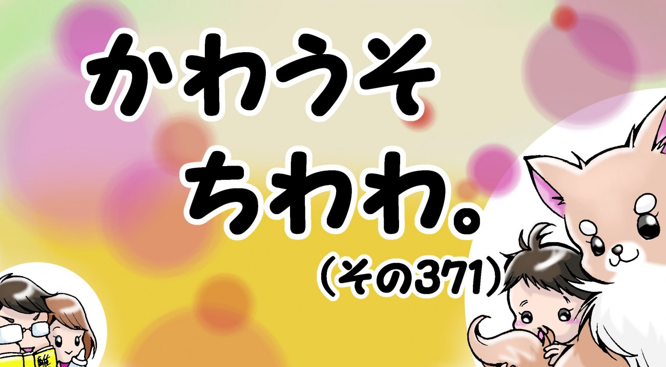 かわうそちわわ。【その371】「もっと！かわいいを下さい！」