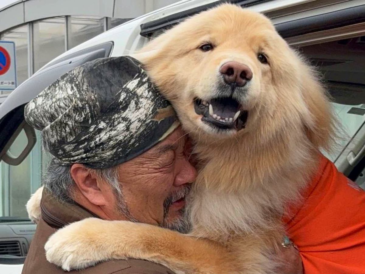 アラスカから帰ってきたお父さん→大型犬との『1ヶ月ぶりの再会』で…愛情が爆発している『感動の瞬間』が61万表示「泣ける」「表情が最高」