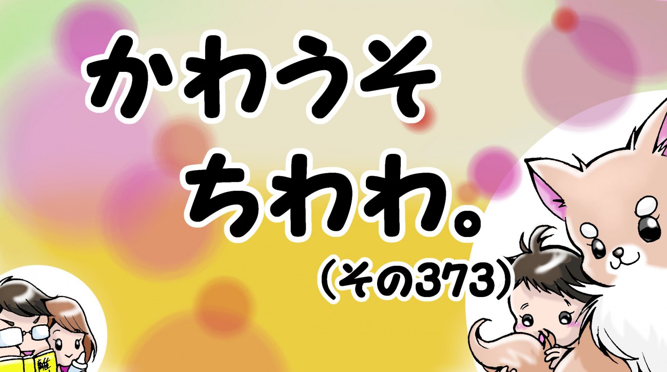 かわうそちわわ。【その373】「寒くて目が覚めた朝に…作詞作曲おかーちゃん」