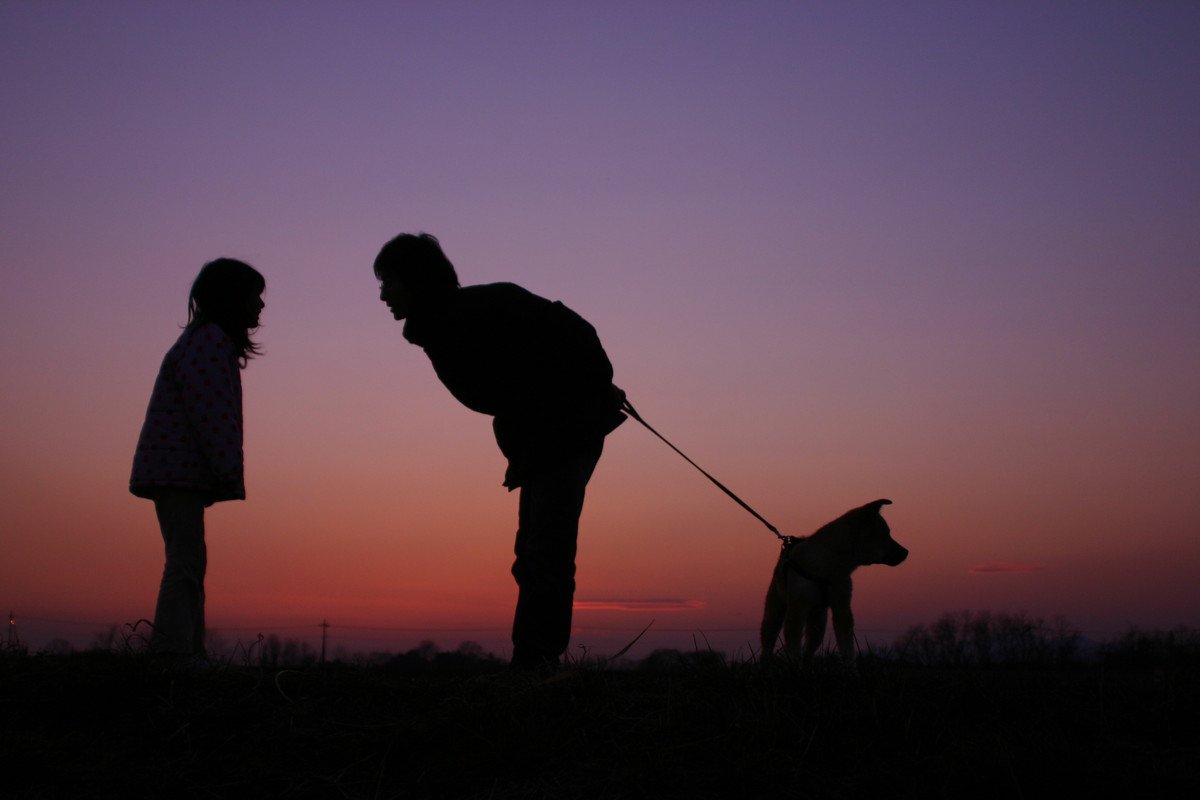 犬の散歩を夜にするときの『絶対NG行為』4つ　飼い主がすべき安全管理とは？