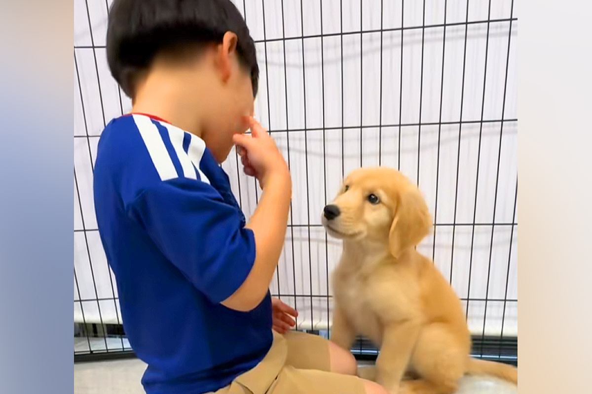 なぜか『子犬』を呼んだ小さな男の子→『何をするのかな？』と思ったら…「相思相愛」「ふたりとも可愛すぎ」とんでもなく尊い光景に思わず悶絶