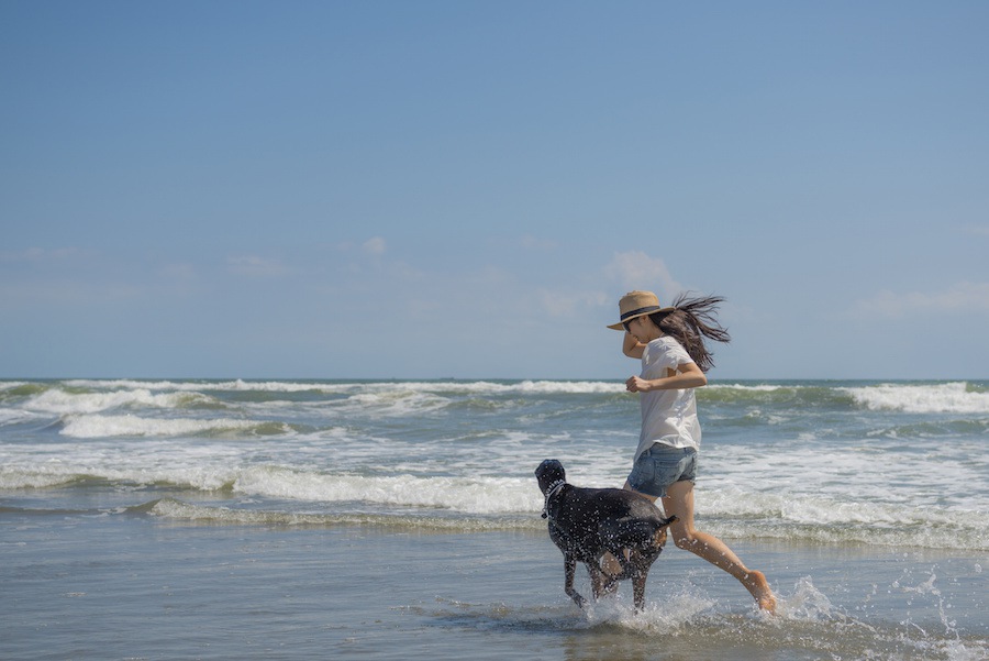 大型犬を飼うときに知っておきたい2つの知識