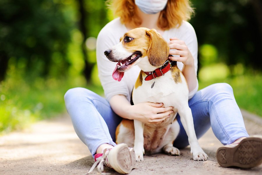 保護犬を飼う時にするべき『６つのこと』