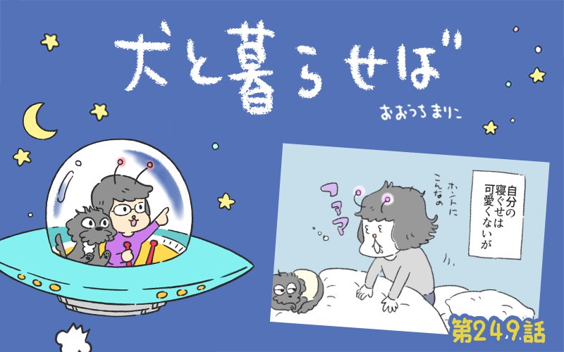 犬と暮らせば【第249話】「ねぐせ」