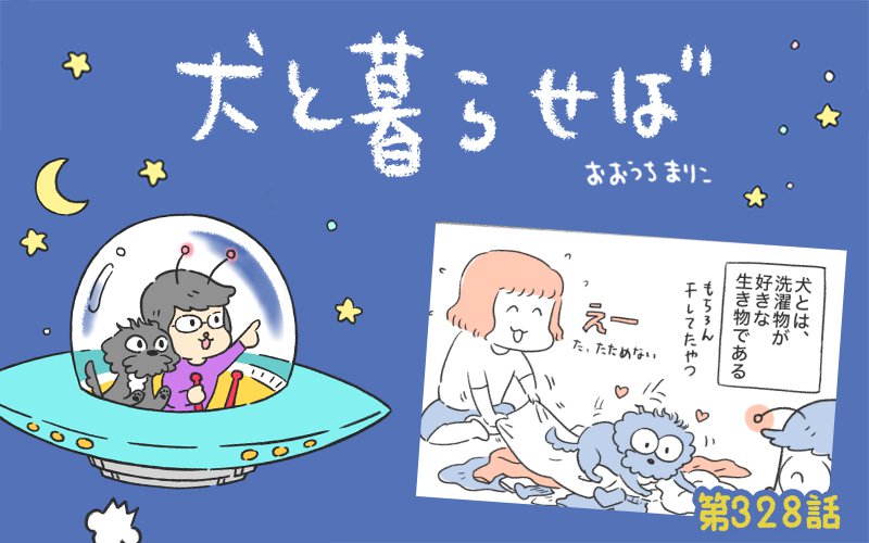 犬と暮らせば【第328話】「エマさんと洗濯物」