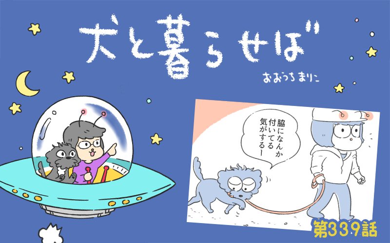 犬と暮らせば【第339話】「教えてくれるエマさん」