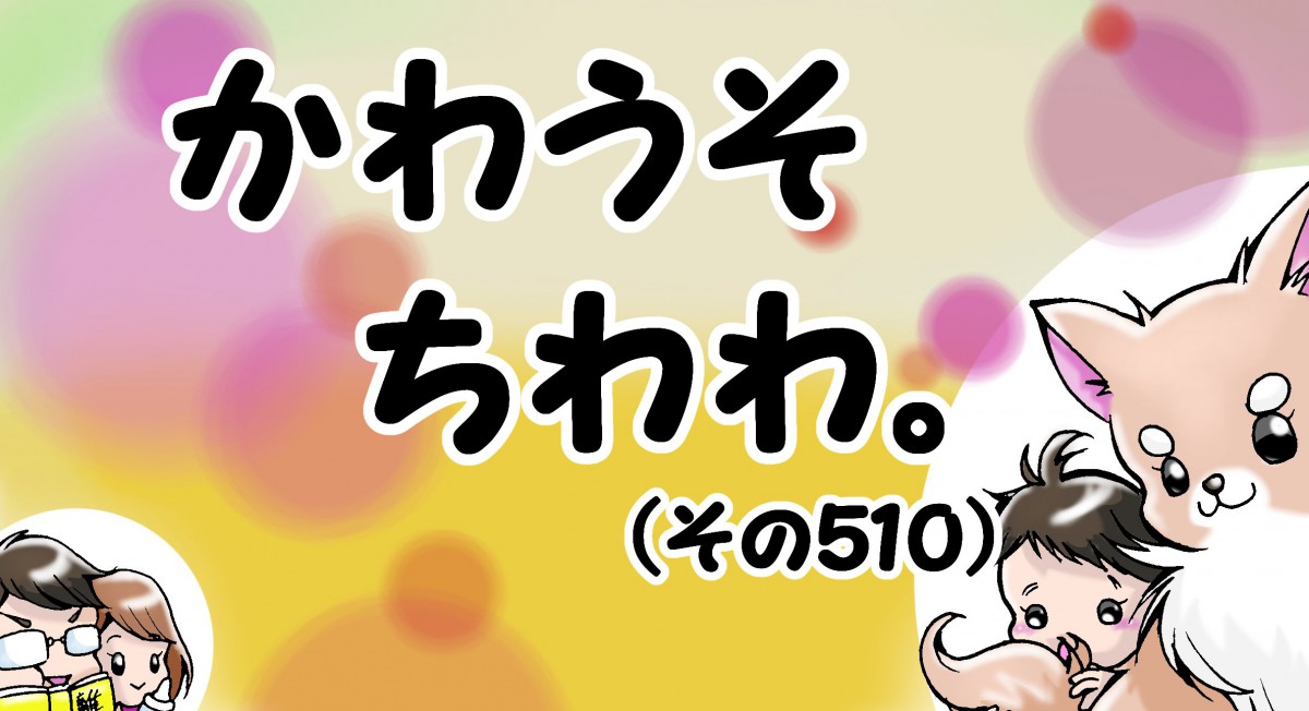 かわうそちわわ。【その510】「フィーユ最強説」