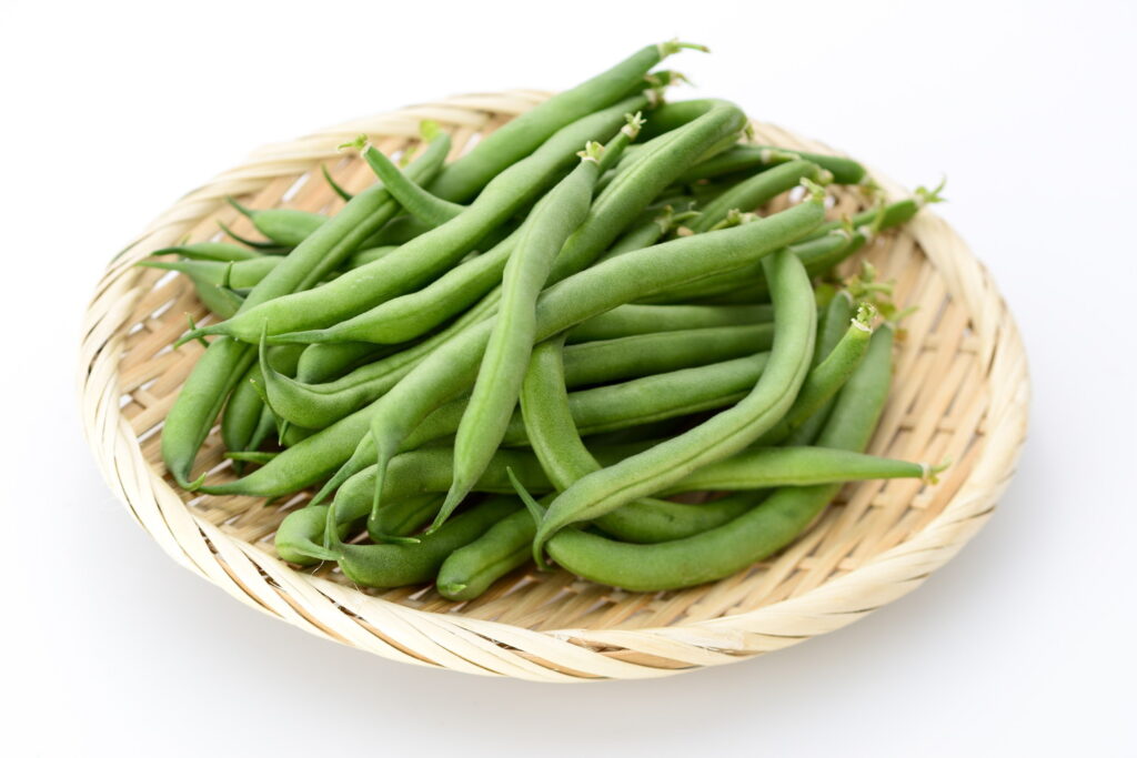 【獣医師監修】犬はいんげんを食べても大丈夫！生はNG？与え方と適量、注意点を解説