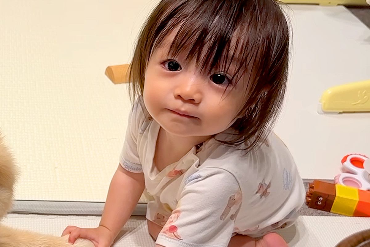 1歳の女の子が『犬を愛しすぎた』結果→お散歩終わりのお風呂にも来て…あまりにも尊い『ふたりの世界』が44万再生「天国」「おてて繋いでる」
