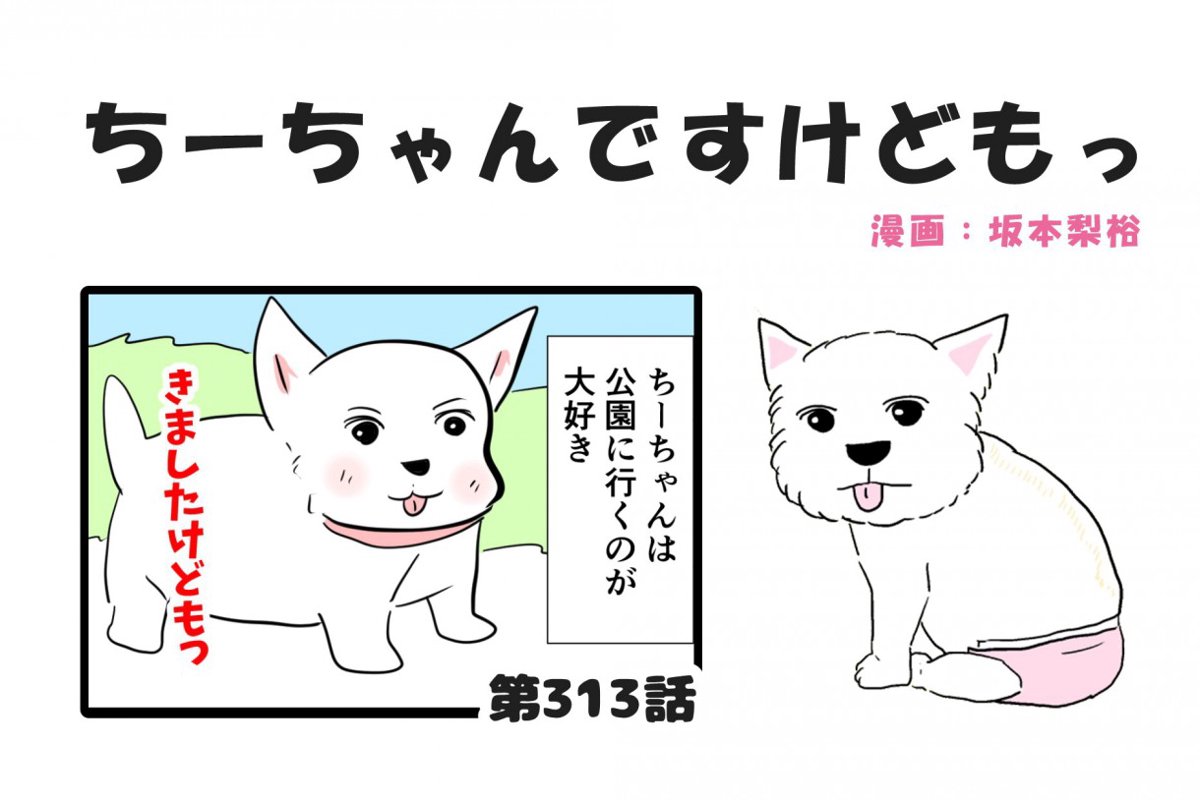 ちーちゃんですけどもっ【第313話】「先頭を走りたい」