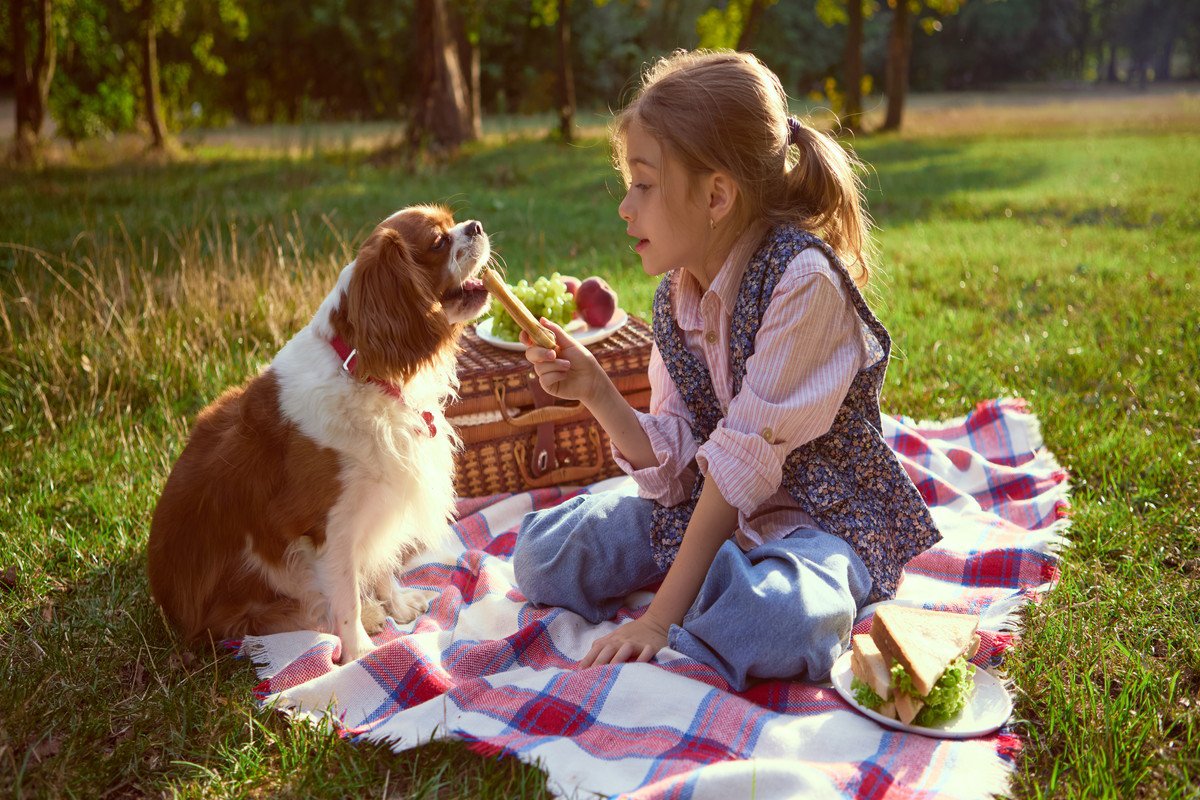 犬が『食事中に遊ぶ』のをやめさせたほうがいい理由4つ　起こりうる問題から改善策まで