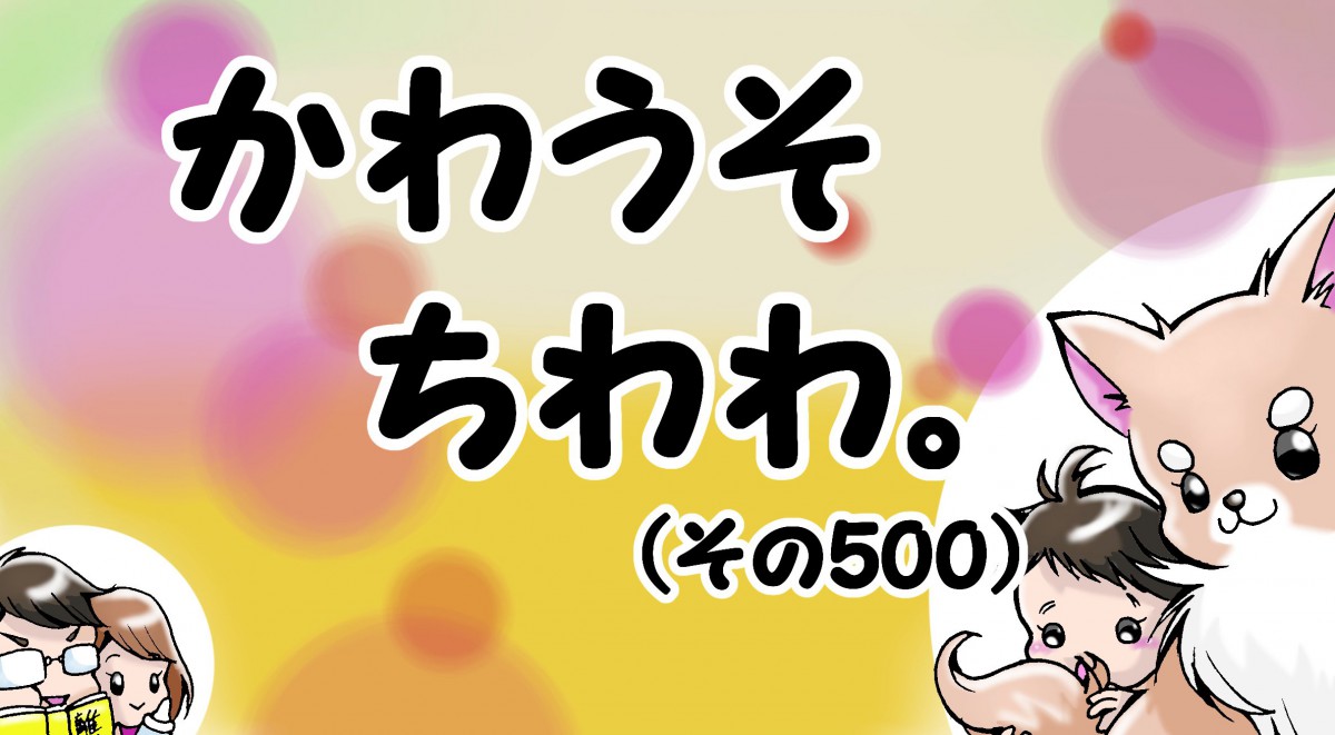 かわうそちわわ。【その500】「みんな！覚えてる？僕だよ！」