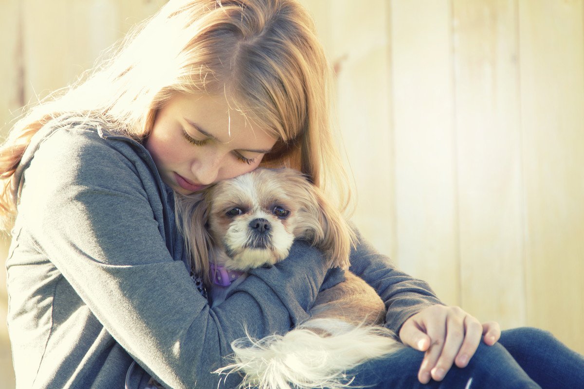 犬は飼い主の『悲しみ』を理解することができるの？慰めているときにみせる行動や愛犬の心理まで