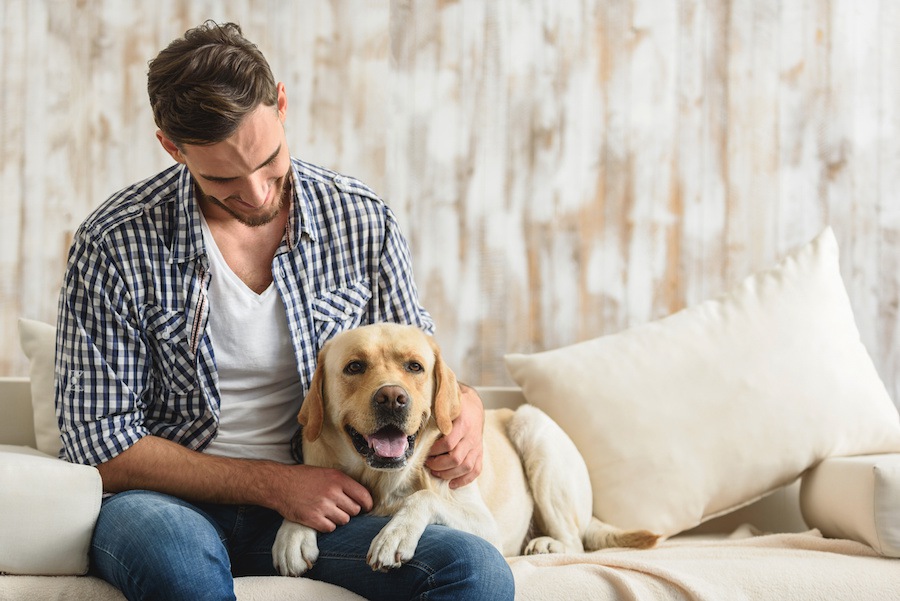 犬が怒っている時にしてはいけないNG行為4選