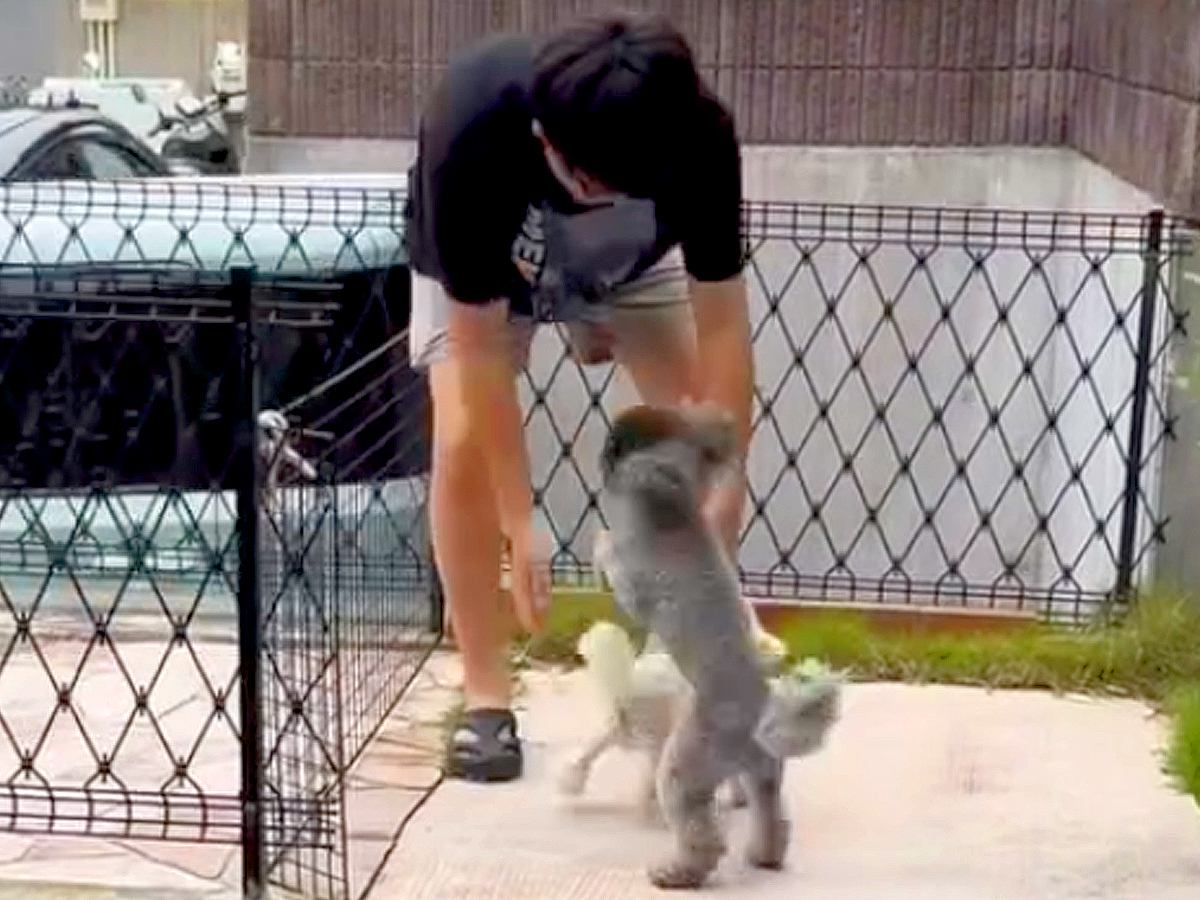 ママが入院し、寂しく留守番する犬2匹→心配した息子と娘が帰ってきて…思わず泣ける『熱烈大歓迎』が話題「素敵な家族」「本当にかわいい」の声