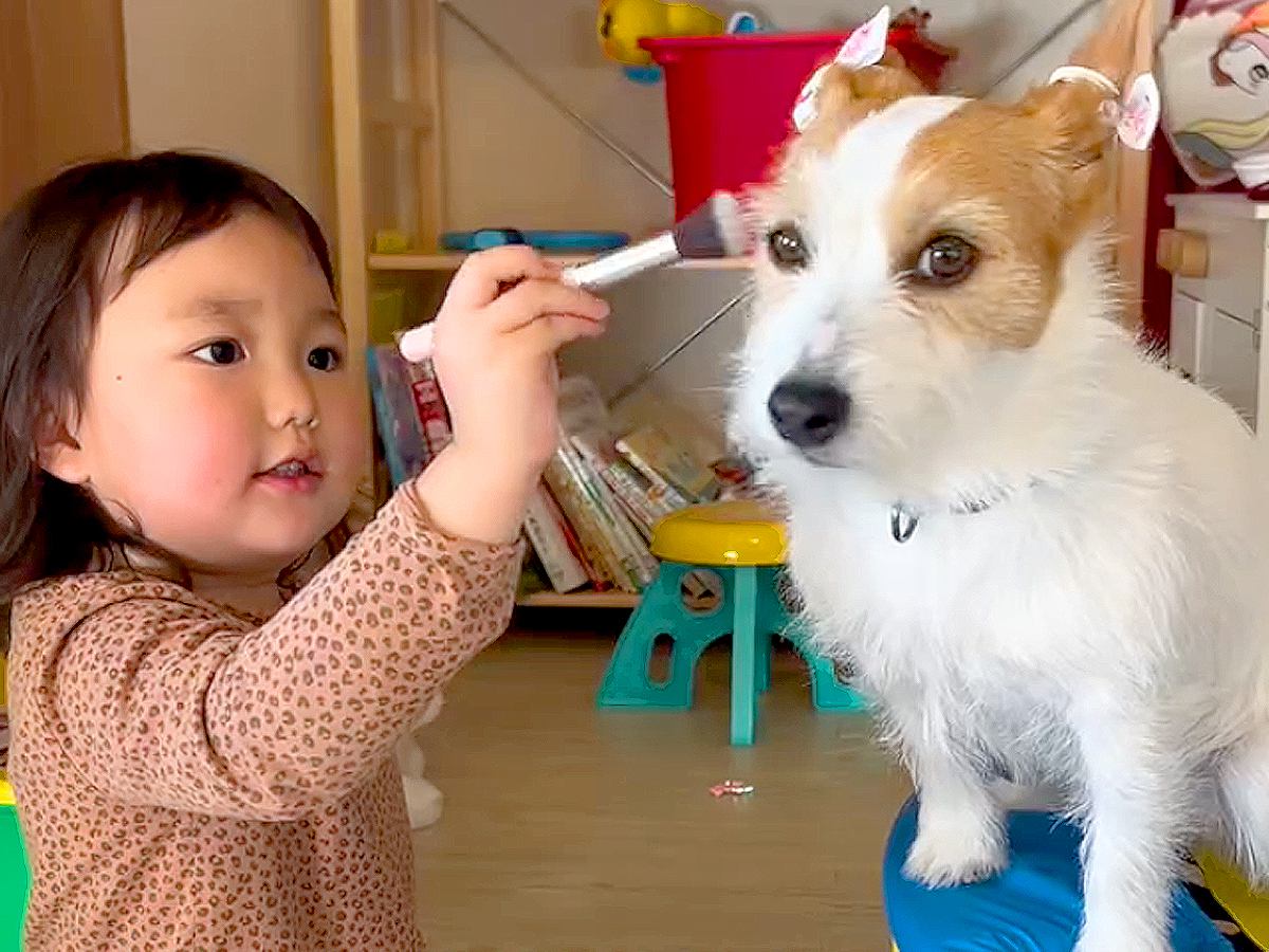 女の子が『犬とおままごと』した結果…お姉ちゃんっぷりが凄い『付き合ってあげる姿』が優しすぎると35万再生「かわいい姉妹」「愛おしい」