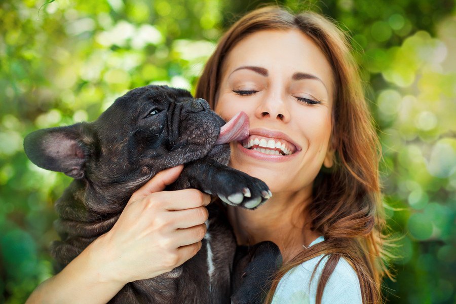 犬はメイクをした飼い主の顔を舐めても大丈夫？