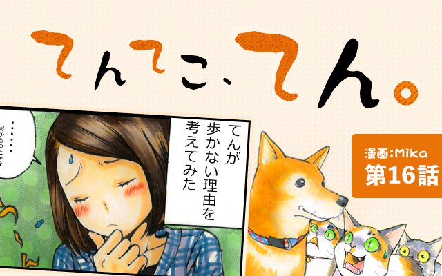 てんてこ、てん。【第16話】「てんのお散歩事情②」