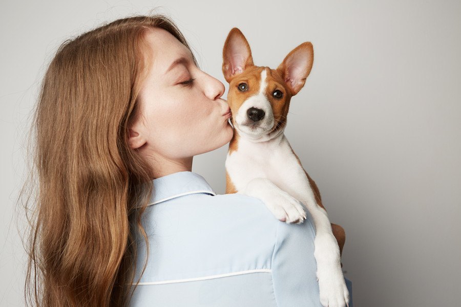 良かれと思って…間違った犬への対応10個