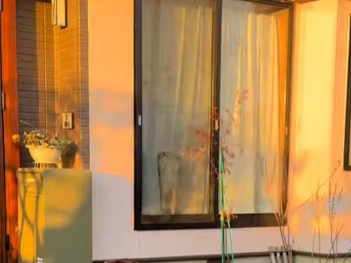 家に帰ったら、チワワが窓から一生懸命に…何度でも見たくなる『全力のおかえりなさい』が51万再生「なんて愛おしい」「抱きしめたい」と反響