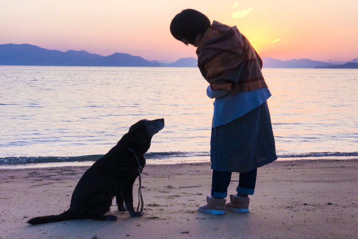 犬が『大好きな人』にだけする４つの仕草