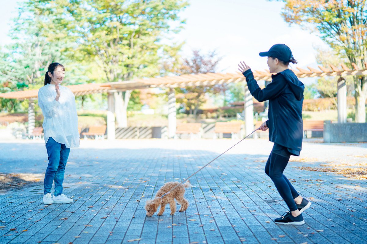 犬との初対面で絶対にしてはいけない『間違った挨拶』3選 避けるべき理由と正しいアプローチ方法