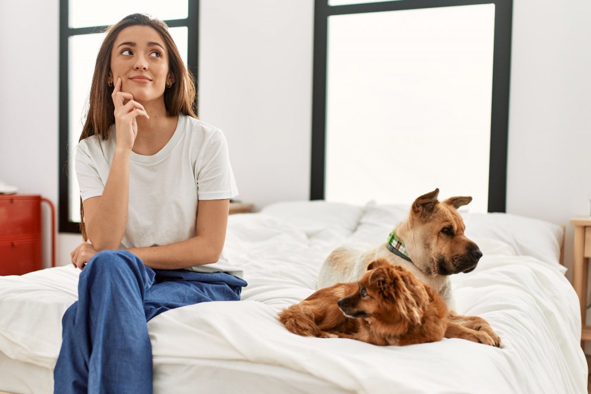 犬の多頭飼いで起こりがちな『悩みごと』ランキング！事前に理解しておくべき3つのことと飼い主にできること