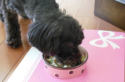 犬の手作りご飯！必要なタンパク質の計算方法や肉の量の目安