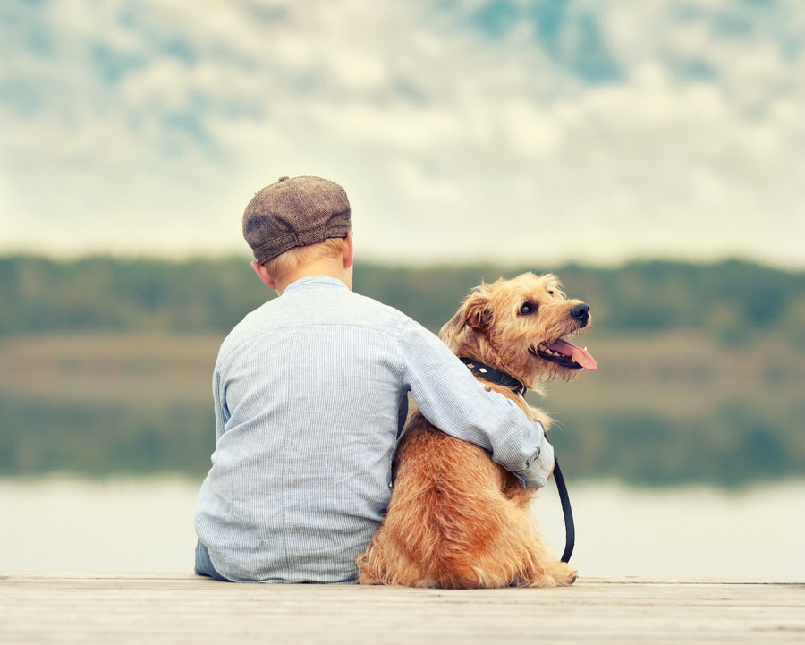 犬の供養の仕方３選